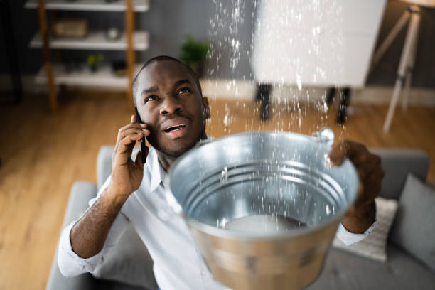 Best Water damage repair service  in Monteagle, TN