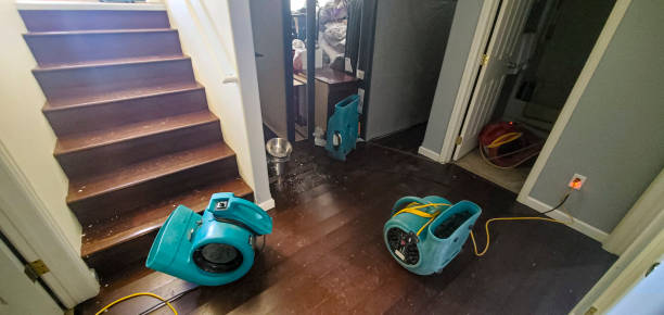 Best 24/7 water damage repair  in Monteagle, TN