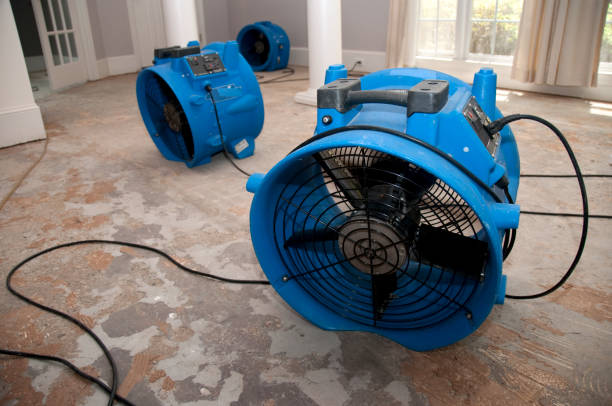 Best Basement water damage restoration  in Monteagle, TN