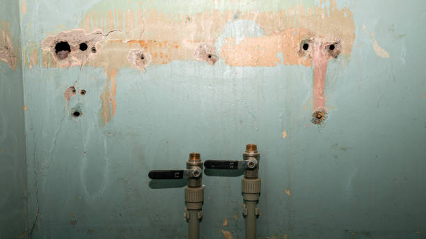 Best Commercial water damage restoration  in Monteagle, TN