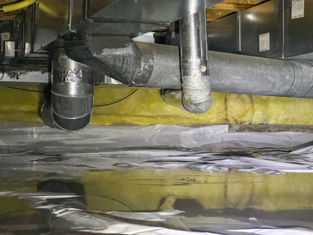 Best Water damage cleanup near me  in Monteagle, TN