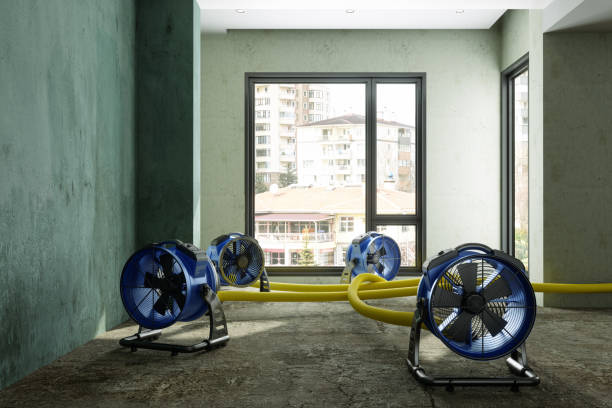 Best Water damage restoration near me  in Monteagle, TN
